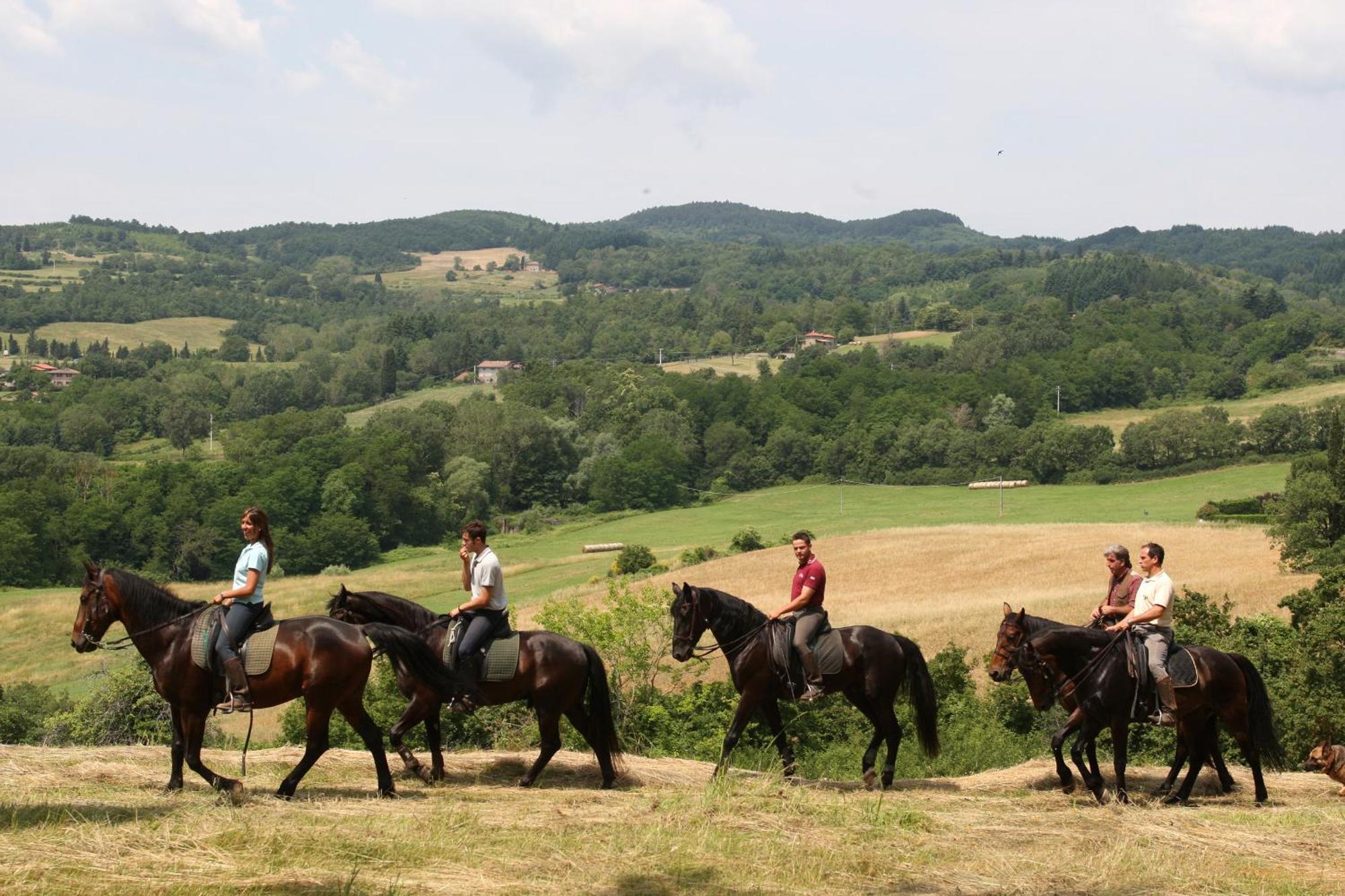 Agriturismo La Forra 가브리클리아 외부 사진