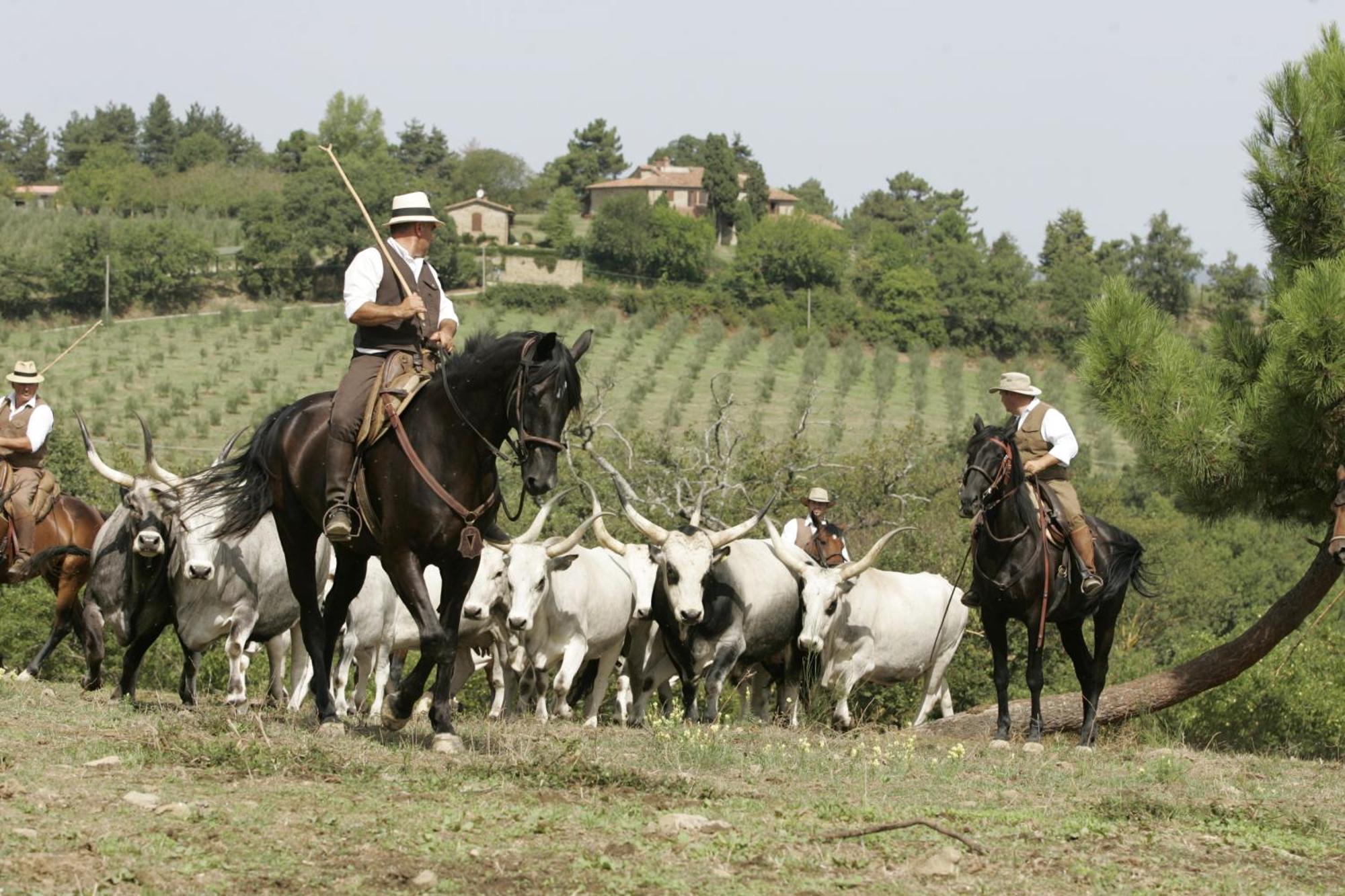 Agriturismo La Forra 가브리클리아 외부 사진