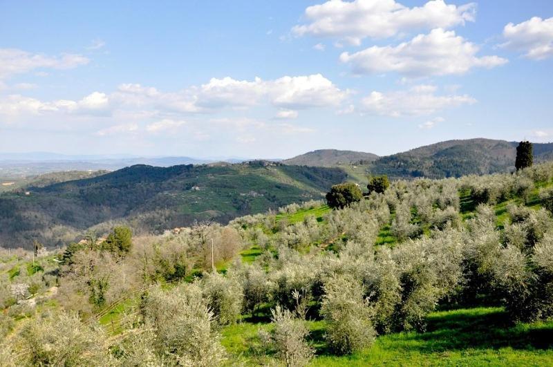 Agriturismo La Forra 가브리클리아 객실 사진
