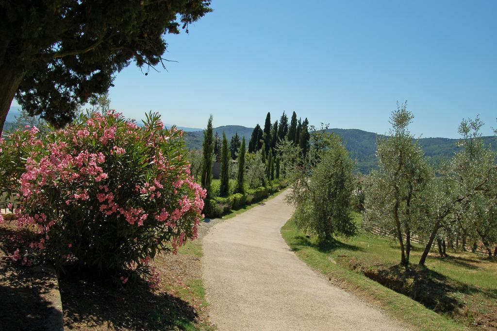 Agriturismo La Forra 가브리클리아 외부 사진